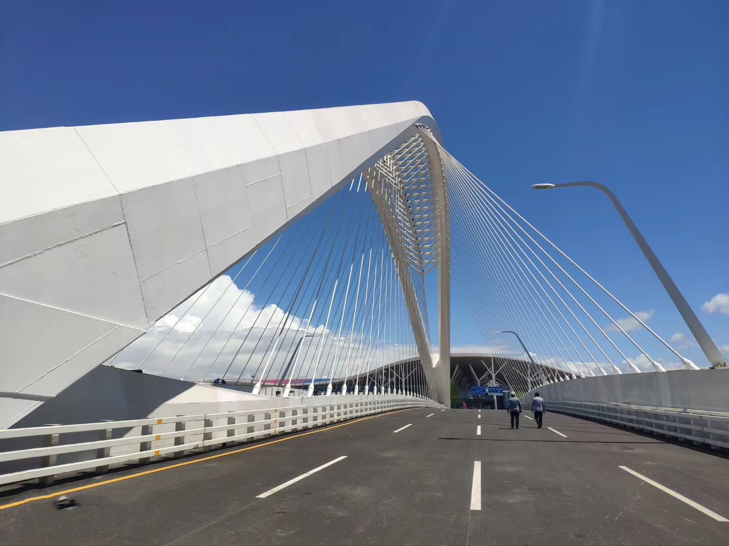 深圳會(huì)展大道三號(hào)橋